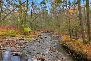 563 Pensyl Creek Rd, Stroudsburg, PA 18360 - Photo 125
