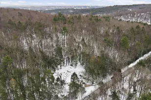 172 Evergreen Hollow Rd, Effort, PA 18330 - Photo 67