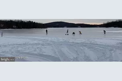 302 Viho Court, Pocono Lake, PA 18347 - Photo 43