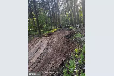 0 Co Line & Lr 45052, Kunkletown, PA 18058 - Photo 9