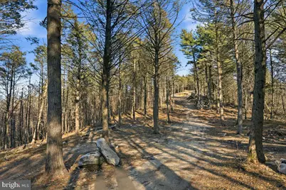 0 Co Line & Lr 45052, Kunkletown, PA 18058 - Photo 13