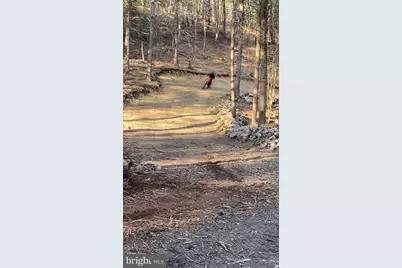 0 Co Line & Lr 45052, Kunkletown, PA 18058 - Photo 17