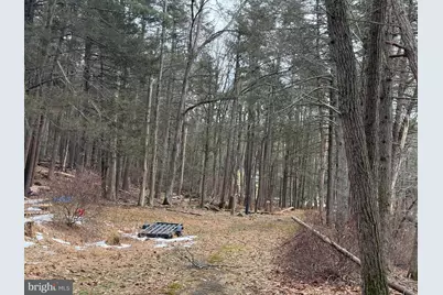 4560 Route 447, Canadensis, PA 18325 - Photo 25