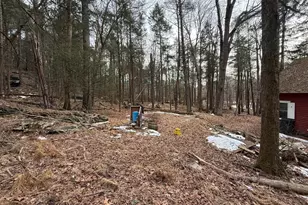 4560 Route 447, Canadensis, PA 18325 - Photo 9