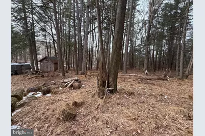 4560 Route 447, Canadensis, PA 18325 - Photo 17