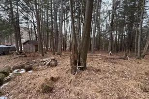 4560 Route 447, Canadensis, PA 18325 - Photo 17