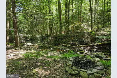 468 Devils Hole Road, Tobyhanna, PA 18326 - Photo 39