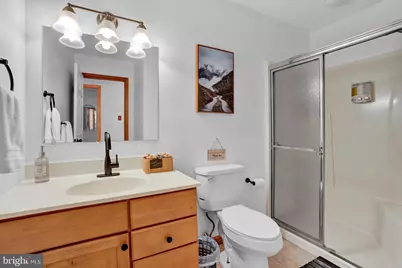 301 Wyomissing Drive, Pocono Lake, PA 18347 - Photo 19