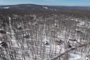 1819 Stag Run, Pocono Lake, PA 18347 - Photo 33