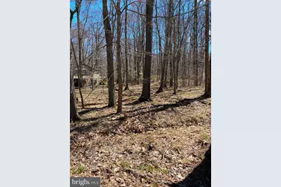 301 Tommy Lane, Pocono Lake, PA 18347 - Photo 1