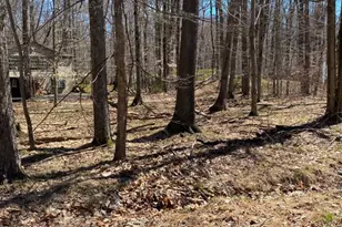 301 Tommy Ln, Pocono Lake, PA 18347 - Photo 1