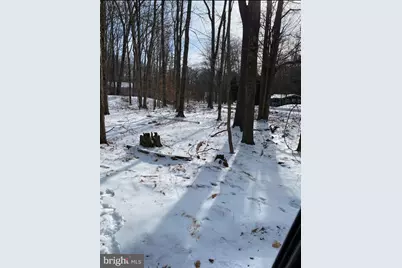 301 Tommy Lane, Pocono Lake, PA 18347 - Photo 5