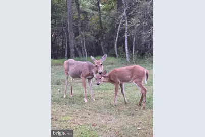 177 Elmwood Drive, Albrightsville, PA 18210 - Photo 43