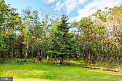 177 Elmwood Drive, Albrightsville, PA 18210 - Photo 3