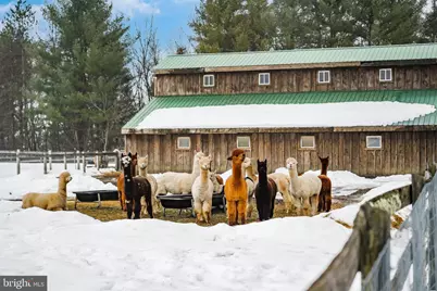 216 Merwinsburg Road, Effort, PA 18330 - Photo 61