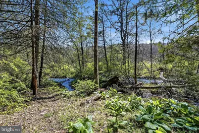 216 Merwinsburg Road, Effort, PA 18330 - Photo 73