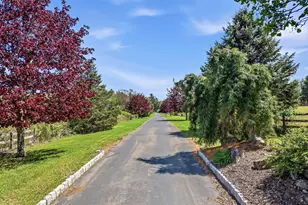 216 Merwinsburg Rd, Effort, PA 18330 - Photo 59