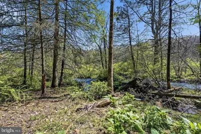 216 Merwinsburg Road, Effort, PA 18330 - Photo 75