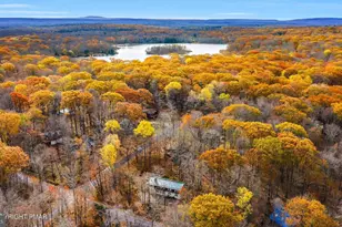 1769 Stag Run, Pocono Lake, PA 18347 - Photo 43