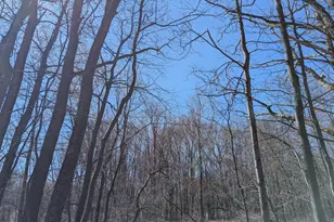 0 T628, Effort, PA 18330 - Photo 5