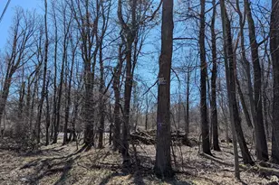 0 T628, Effort, PA 18330 - Photo 1