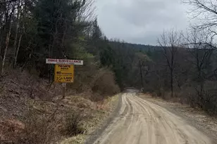 3603 Lakewood Dr, Saylorsburg, PA 18353 - Photo 7