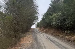 3603 Lakewood Dr, Saylorsburg, PA 18353 - Photo 5