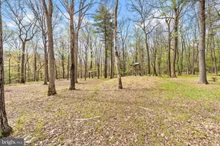 467 Pheasant Rd, Saylorsburg, PA 18353 - Photo 41