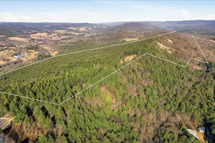0 Co Line & Lr 45052, Kunkletown, PA 18058 - Photo 3