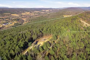 0 Co Line & Lr 45052, Kunkletown, PA 18058 - Photo 13