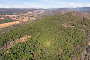 0 Co Line & Lr 45052, Kunkletown, PA 18058 - Photo 19