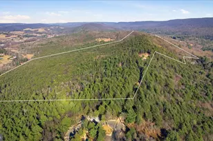 0 Co Line & Lr 45052, Kunkletown, PA 18058 - Photo 15