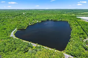 1229 Fern Dr, Pocono Summit, PA 18346 - Photo 43