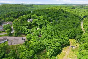 90 Oak Ln, Pocono Manor, PA 18349 - Photo 101