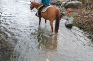143 Cathleen Dr, East Stroudsburg, PA 18302 - Photo 53