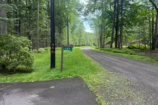 137 Outer Dr, Pocono Lake, PA 18347 - Photo 51