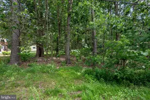5226 Beechwood Rd, Blakeslee, PA 18610 - Photo 51