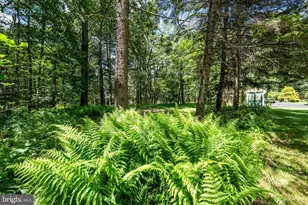 5226 Beechwood Rd, Blakeslee, PA 18610 - Photo 49