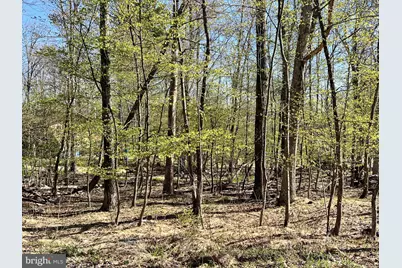 Chickadee Way, East Stroudsburg, PA 18302 - Photo 1