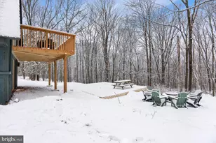 229 Brier Crest Rd, Blakeslee, PA 18610 - Photo 81
