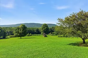 163 Mulberry Ln, Stroudsburg, PA 18360 - Photo 55