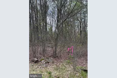 0 Winebago Dr2, Pocono Lake, PA 18347 - Photo 3