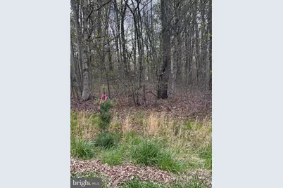0 Winebago Dr2, Pocono Lake, PA 18347 - Photo 5