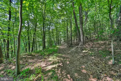 169 Dogwood Lane, Saylorsburg, PA 18353 - Photo 47