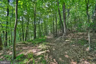 169 Dogwood Ln, Saylorsburg, PA 18353 - Photo 47