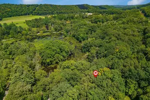 375 Rustic, Saylorsburg, PA 18353 - Photo 43