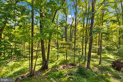 105 Mulberry Lane, East Stroudsburg, PA 18302 - Photo 49