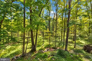 105 Mulberry Ln, East Stroudsburg, PA 18302 - Photo 49