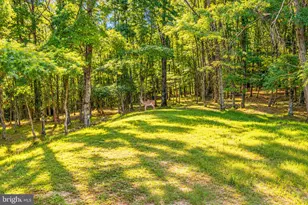 159 Winding Way, Albrightsville, PA 18210 - Photo 69