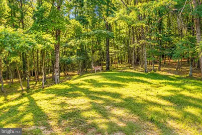 159 Winding Way, Albrightsville, PA 18210 - Photo 69